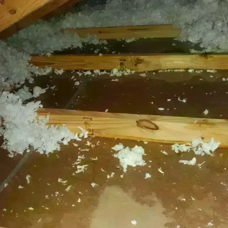 Attic Water Damage in El Reno, OK