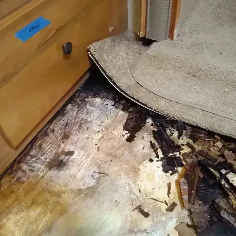 Best Wood Floor Water Damage Service in El Reno, OK